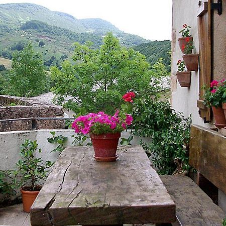 Casa Rural Parriola Villanueva de Arce Eksteriør billede
